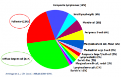 - 31% Diffuse Large B-Cell Lymphoma
- 22% Follicular Lymphoma
- 12% Composite Lymphomas
- Others <10%