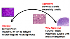 - Survival: years
- Incurable, treatment can be delayed
- Responding and relapsing course