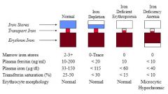 First to change: plasma ferritin levels, marrow iron stores

Second to change: plasma iron

Last to change: erythrocyte morphology