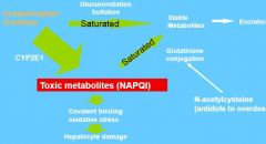 N-acetylcysteine

You induce glutathione production, which allows to creation of stable metabolites