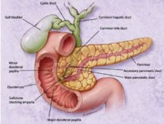 C loop of the duodenum

The common bile duct is inside of it - if you have masses, you're going to see cholestatic symptoms
