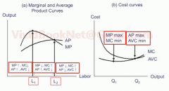 Draw the cost and productive curves and how they relate to AP, MP, MC, & AVC.