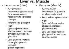 Liver   vs.   Muscle

hexokinase Km?
responds to?
High glucose = ?
Low glucose = ?