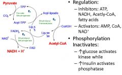 In the pyruvate dehygrogenase complex what 2 molecules are required for creation of ATP?