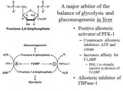 [F26BP] is controlled by glucagon and insulin