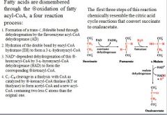Fatty acids are dismembered through the β oxidation of fatty acyl-CoA, a four reaction process: