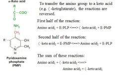 The transamination is only half done after the PLP reaction.  Leaving PMP and Alpha-Keto acid.