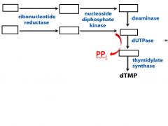 Fill in the blanks of this pathway for dTMP.