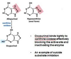 oxypurinol,  xanthine oxidase