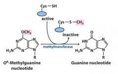 This direct nucleotide repair mechanism is considered energetically expensive because?