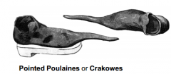 Medieval shoes with long pointed toes. AKA crakowes