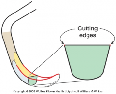 Rounded back and toe
Semicircular in cross section
Two cutting edges per working-end