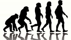 2. Charles Darwin developed the theory of evolution