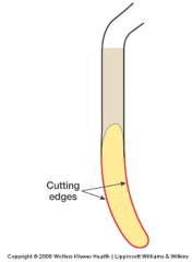 The cutting edges are curved and do NOT parallel the shank