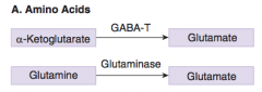 

	
		
		
	
	
		
			
				
					Glutamate is synthesized in the Krebs cycle by
the conversion of α-ketoglutarate to the amino acid via the enzyme GABA-T or in nerve terminals by

					the hydrolysis of glutamine by the enzyme glutami...