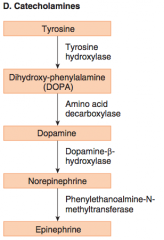 Synthesised from TYROSINE  

Dopamine is transported into synaptic vesicles where it is converted to NA / Adr