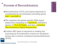 homologous recombination events are abolished, giving rise to severe combined immunodeficiency (SCID).