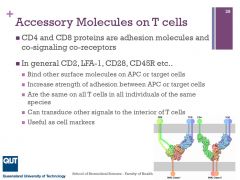 - CD2, LFA-1, CD28, CD45R
- Bind APC/target cells (via surface molecules)
- Increase strength of adhesion between APC or target cells
- communicate/transduce signals to interior of T cells
- same on all individuals of the same species
- usefu...