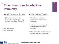 - B cell sitmulation to proliferate and secrete Ab
- Macrophage activation
- cytokine secretion