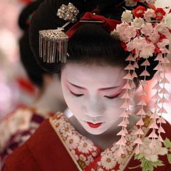 a japanese girl or woman who is trained to entertain men with singing, conserving etc.