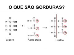 São formados através da ligação de glicerol (álcool)  e 3 cadeias carbônicas de ácido graxo.