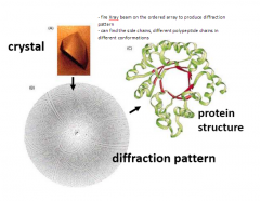 (Some) proteins can form ordered crystals


 


Crystals placed in X-ray diffractometer produce diffraction patterns that can be interpreted in terms of atomic positions


 


Three-dimensional structures of proteins can be reconstructed...