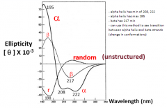 CD spectra record absorption of UV light, and also take advantage of asymmetry of proteins


 


Each alpha-carbon in each amino acid (except Gly) is asymmetric -L- vs D- configuation


 


Secondary structures are asymmetric - the twist...