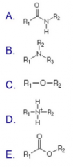 Which of the following represents an amide linkage?