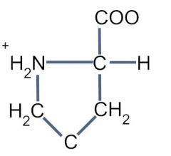 Proline, Pro, P


 


Is an imino acid, not really an amino acid but is because it is cyclic


 


Side chain is cyclic and forms a ring via a covalent bond with the backbone nitrogen atom.


 


Cyclic ring makes it a very rigid st...