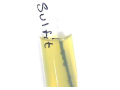 Sulfitreduktion: sultif til hydrogensulfid (hydrogensulfid danner kompleks med jern)

Na2S2O3 → H2S
H2S + Fe++ → FeS

Sortfarvning i stik: positiv (sulfitreducerende)

Fx Clostridium sporogenes