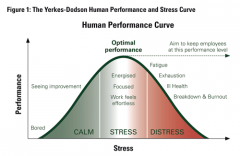 any type of event that triggers a stress response
