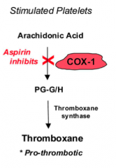 - Decreases platelet aggregation by inhibiting COX-1
- Results in decreased thromboxane formation
- Thromboxane regulates platelet aggregation through mediating glycoprotein IIb/IIIa