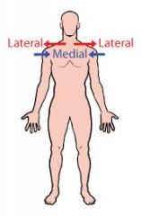 medial: toward the midline
lateral: away from the midline