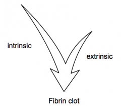 Fibrin clot - which occurs in and among platelets, leading to stopped bleeding, and wound healing