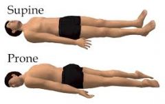 prone: belly
supine: back