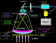 1. xrays pass through grid to filter scatter= 3-5x increase in pt dose.
2. filtered xrays pass through titanium entrance surface (strong because of II internal vaccuum)
3. xrays are captured by entrance phosphor and converted to light
4. emitte...