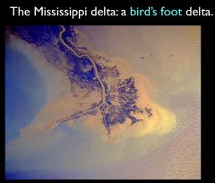 A delta with long, projecting distributary channels that branch out like the toes or claws of a bird.
Example: Mississippi Delta 
 