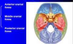 Middle cranial fossa