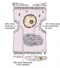 This picture shows that 90% of bile produced by the liver is recycled. This means that the bile is retaken up in the intestines, transported to the liver, taken up by hepatocytes in the space of 
Disse. And transported back into the bile canalicu...