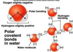 Dess förmåga att bilda vätebindningar mellan molekylerna till följd av vinkeln (105 grader) mellan väte-atomerna i vattenmolekylen. Detta resulterar i hög kok/fryspunkt, värmekapacitet och ytspänning m.m