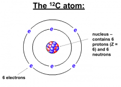12-C and 14-C both have 6 protons (Atomic Number 6)
BUT 12-C has 6 neutrons, while 14C has 8.