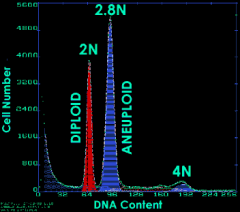 what is the DNA index