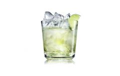 1 1/2 oz. Vodka
1/2 oz. Lime Juice
Lime Squeeze


Rocks Glass, Filled w/ Ice