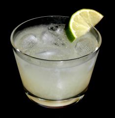 1 1/2 oz. Gin
1/2 oz. Lime Juice
Lime Squeeze


Rocks Glass, Filled w/ Ice