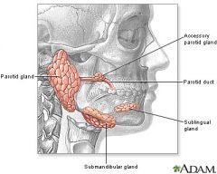 The presence of stones or calculi in the salivary glands or ducts.

- >80% of stones are from the submandibular glands
- ~20% of stones are from the parotid glands
- 1-2% of stones are from the sublingual and other minor glands

The submandi...