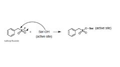 (phenylmethyl)sulfonyl fluoride 
  - an irreversible serine protease inhibitor

Can inhibit many serine proteases as well as cysteine proteases