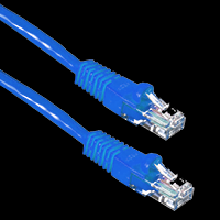 What are the only wires used in an Ethernet cable for a 10/100 network?