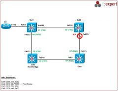 Spanning Tree Protocol

- Eliminates redundancy
- Shuts off unneeded cables until they are needed