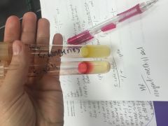 (MR) Methyl Red test