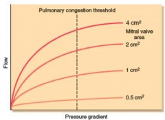 - At smaller valve size openings, the pressure increases to try to maintain flow across mitral valve
- Once you exceed a certain level of pressure (for any valve size) you will get pulmonary congestion
- It is easy to exceed this threshold when ...